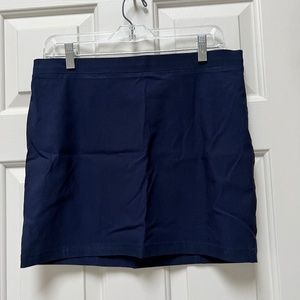 Navy Mini Skirt